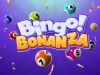 Bingo Bonanza