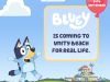 Bluey - Toy Box Activity